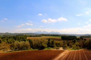 Castlexperience Wine Tours are the best wine tours in Barcelona! Find out why here!