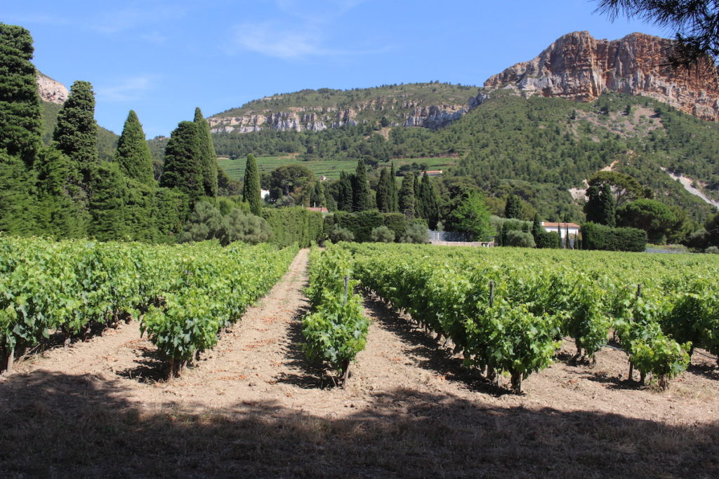 Visiting Cassis France Calanques Beaches Wine Jadescapades