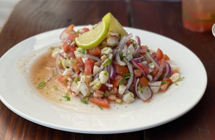 The conch ceviche