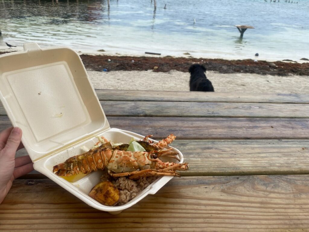 The lobster from one of the afternoon street vendors in Caye Caulker