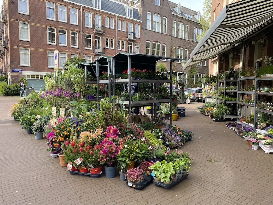 Het Groene Paradijs, plants on the street