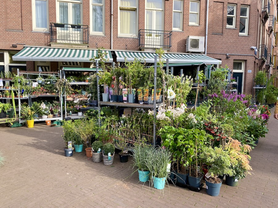 Het Groene Paradijs, plants on the street