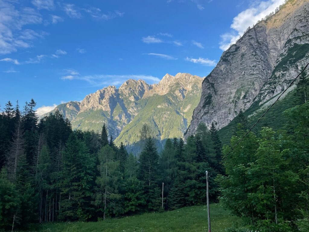 Trees and mountains in the backdrop, Slovenia