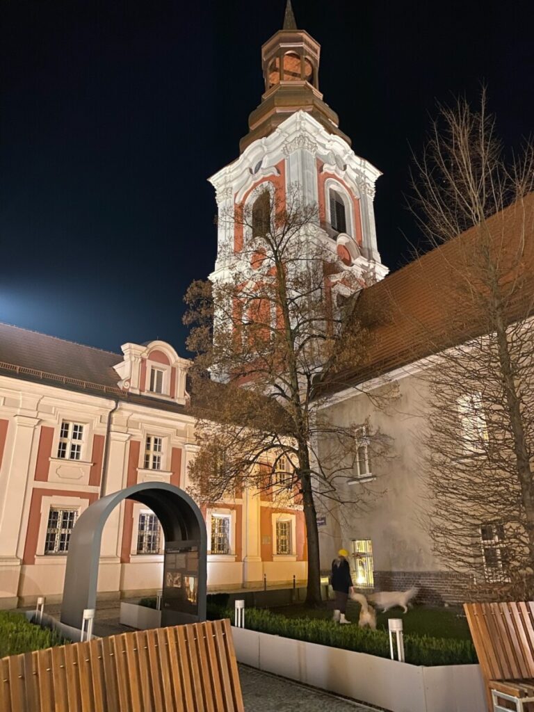 Poznan Basilica by night